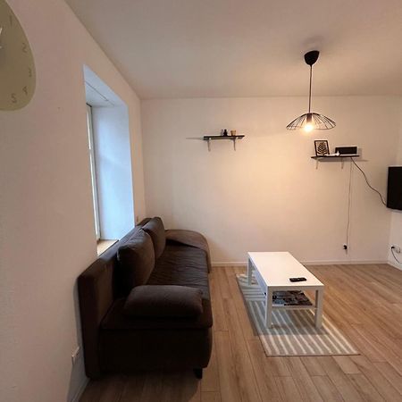 # Le 1 # Tres Beau T3 Neuf Rez-De-Chaussee Centre Ville Мюлуз Екстериор снимка